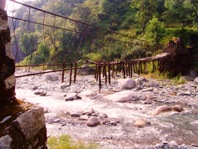 Ecology Dharamsala