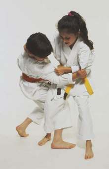 Himachal Judo 2009