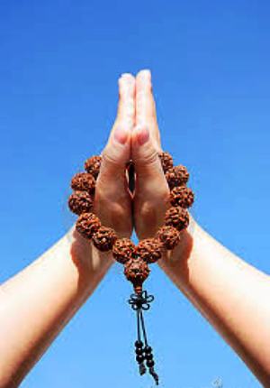Buddhist Bracelet Bodhi Seeds  Buddhist Rosary 108 Beads