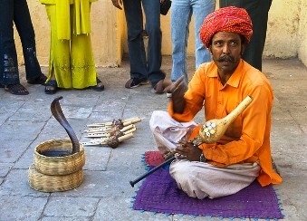 Indian Snake Charmer