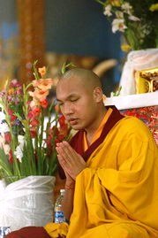 Karmapa Living Buddhas Dharamsala Kagyu Dharamshala - 