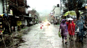 Kangra Rains 2009