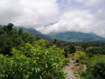 Vidya Niwas Misty Morning