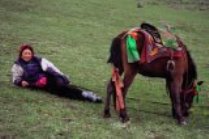 Tibetan Rider